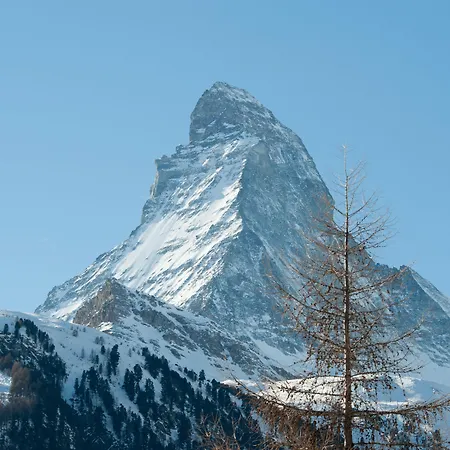 호텔 헤미제우스&이레미아 스파 체르마트